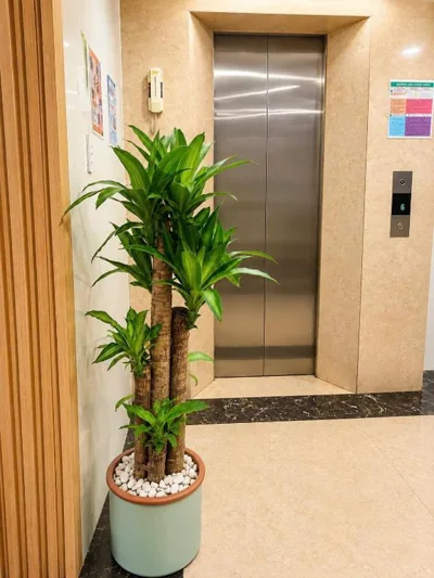 Ngọ House – 照片 12